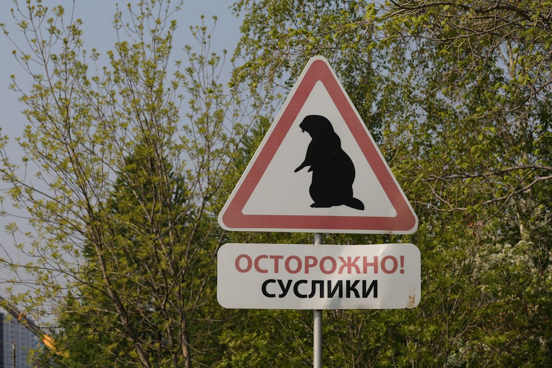 Идентификация OTC-сделки на btcmixer_ru: ключевые аспекты и практические рекомендации